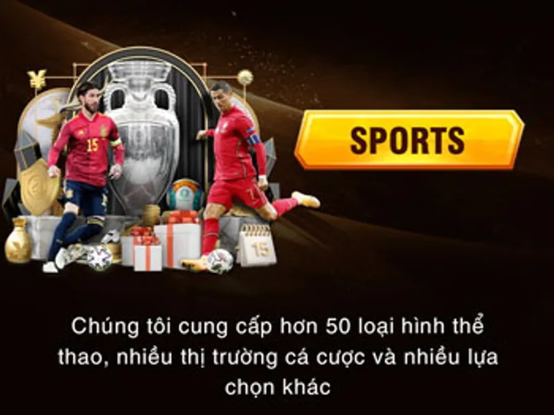 Minh họa các loại kèo cá cược phổ biến trên Dola789